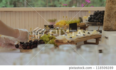 Table with different types of cheese. Cheese tasting. Table with hard cheeses Camembert, Brie, Parmesan, Dutch cheese, grapes, honey, nuts. Table with different types of cheese. Cheese tasting. Table with hard cheeses Camembert, Brie, Parmesan, Dutch cheese, grapes, honey, nuts. 118509289