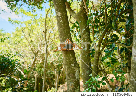 The summit of Mt. Kuma The summit of Mt. Kuma 118509493