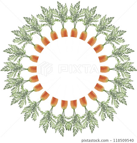 Round frame, carrot wreath 118509540