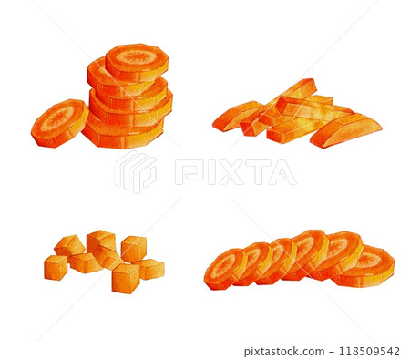 Set of different slices of carrots 118509542