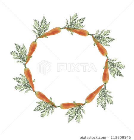 Carrot watercolor illustration Carrot watercolor illustration 118509546