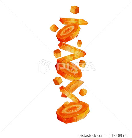 Composition of Carrot watercolor illustration 118509553