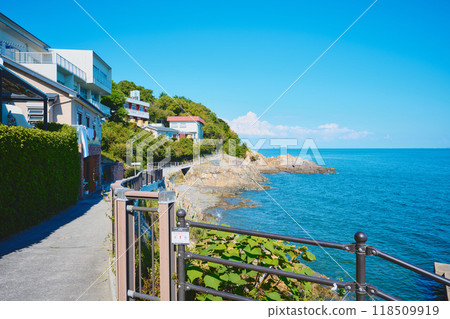 Ako Okazaki Ako Okazaki 118509919