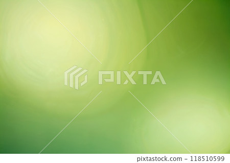 Green pastel background with sunshine glare. 118510599