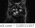 Black cat illustration on black background 118511307