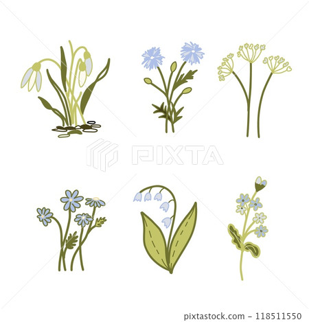 Vector Floral set, delicate Flowers in blue and green colors. Snowdrop, Daisy, Lily of the valley, Forget-me-not, Cornflower. Minimalist drawing Doodle style Plants isolated on white background. Ideal Vector Floral set, delicate Flowers in blue and green colors. Snowdrop, Daisy, Lily of the valley, Forget-me-not, Cornflower. Minimalist drawing Doodle style Plants isolated on white background. Ideal 118511550