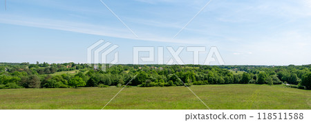Green grass and forest with beautiful sky in summer. 118511588