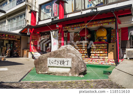 下呂溫泉街/白鷺橫丁(岐阜縣) 下呂溫泉街/白鷺橫丁(岐阜縣) 118511610