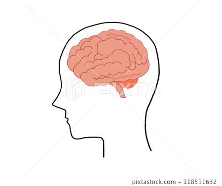 Illustrated brain and human profile Illustrated brain and human profile 118511632