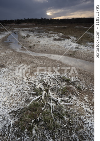 Saltpeter on the floor of a lagoon 118511795