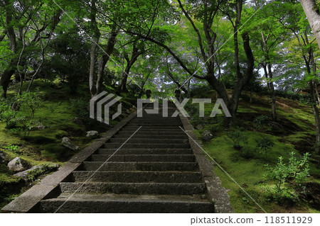 京都常寂光寺 118511929