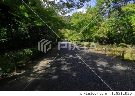 Kyoto Bunsein 118511930