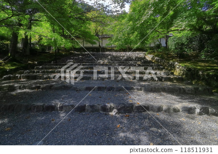 京都Bunsein 118511931