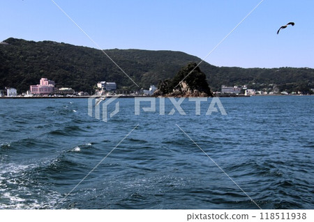 Cruise through Shimoda Port in Shimoda City 118511938