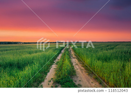 Rural Countryside Road Through Green Wheat Field. Spring Agricultural Season. Colorful Dramatic Sky At Sunset Sunrise. Sunset Over Rural Dirty Countryside Road In Green Field. Summer Rural Countryside Road Through Green Wheat Field. Spring Agricultural Season. Colorful Dramatic Sky At Sunset Sunrise. Sunset Over Rural Dirty Countryside Road In Green Field. Summer 118512043