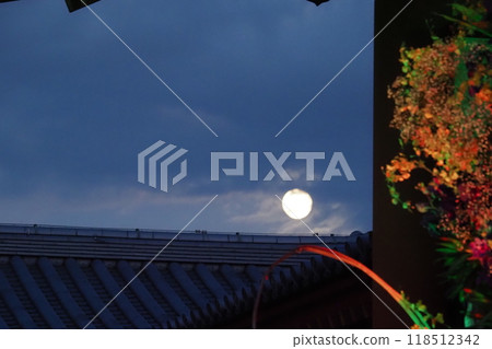 Mid-Autumn Harvest Moon Mid-Autumn Harvest Moon 118512342