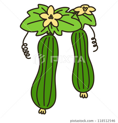Loofah 118512546