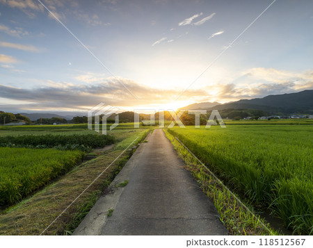 早晨太陽升起時飛鳥村的景色 早晨太陽升起時飛鳥村的景色 118512567