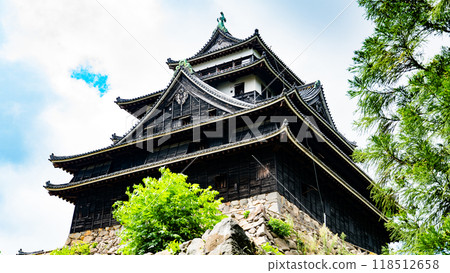 Matsue Castle 118512658