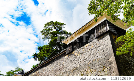 Matsue Castle 118512659
