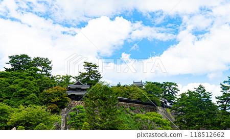 Matsue Castle 118512662