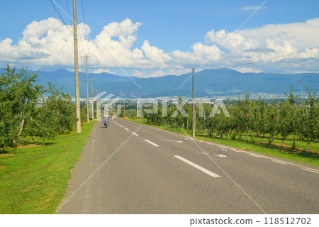 A road running through apple orchards [Azumino City] 118512702