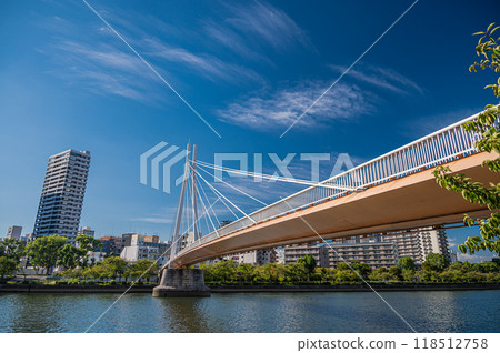 橫跨大川（舊淀川）的斜張橋 川崎大橋 大阪市 118512758