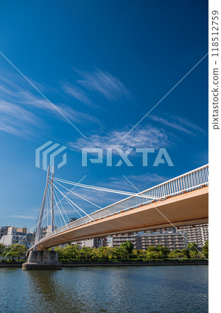 Kawasaki Bridge, a cable-stayed bridge over the Okawa River (formerly the Yodo River), Osaka City 118512759