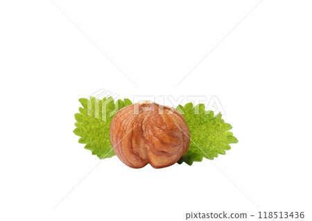 PNG, Peeled whole hazelnut and leaves, isolated on white background PNG, Peeled whole hazelnut and leaves, isolated on white background 118513436