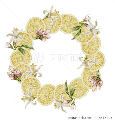 Lemons fresh wreath watercolor illustration Lemons fresh wreath watercolor illustration 118513493