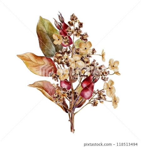 Autumn leaves branch bouquet watercolor illustration 118513494