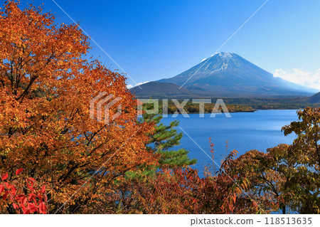 Mt. Fuji seen from Lake Motosu in autumn, Yamanashi Prefecture Mt. Fuji seen from Lake Motosu in autumn, Yamanashi Prefecture 118513635