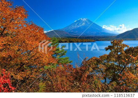 秋天從山梨縣本栖湖看到的富士山 118513637