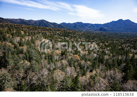 Autumn leaves of Mikuni Pass 118513638