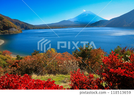 Mt. Fuji seen from Lake Motosu in autumn, Yamanashi Prefecture 118513659