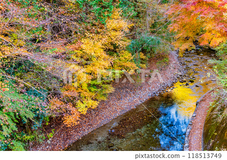Tokyo Autumn leaves in Akigawa Valley, Yozawa River 118513749