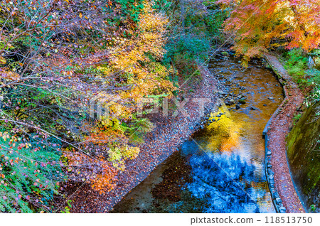 Tokyo Autumn leaves in Akigawa Valley, Yozawa River Tokyo Autumn leaves in Akigawa Valley, Yozawa River 118513750