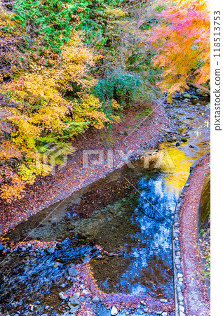 秋川谷、與澤川,染紅了東京的秋葉 秋川谷、與澤川,染紅了東京的秋葉 118513753