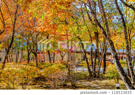 Tokyo: Akigawa Valley dyed in autumn leaves at Seoto-no-yu Tokyo: Akigawa Valley dyed in autumn leaves at Seoto-no-yu 118513835