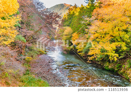 Tokyo: Autumn leaves in Akigawa Valley, Ishifunebashi area 118513936
