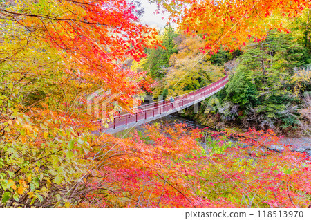 Tokyo: Ishifunebashi Bridge in the Akigawa Valley, dyed in autumn leaves 118513970
