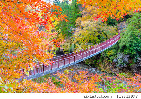 Tokyo: Ishifunebashi Bridge in the Akigawa Valley, dyed in autumn leaves Tokyo: Ishifunebashi Bridge in the Akigawa Valley, dyed in autumn leaves 118513978