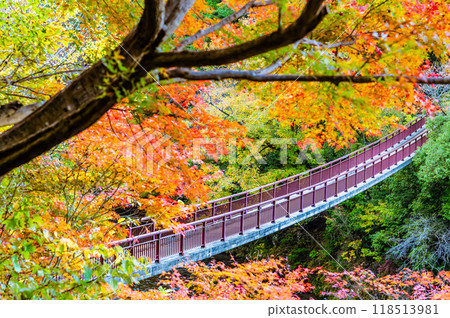 Tokyo: Ishifunebashi Bridge in the Akigawa Valley, dyed in autumn leaves 118513981