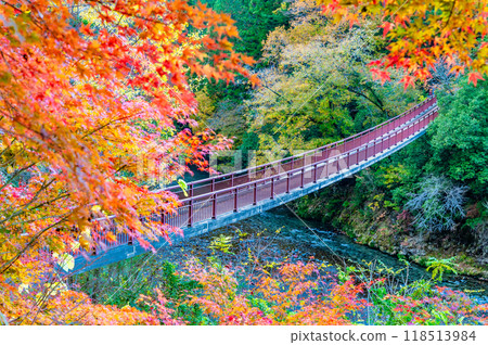 Tokyo: Ishifunebashi Bridge in the Akigawa Valley, dyed in autumn leaves 118513984