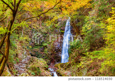 Tokyo: Hossawa Falls dyed in autumn leaves 118514030