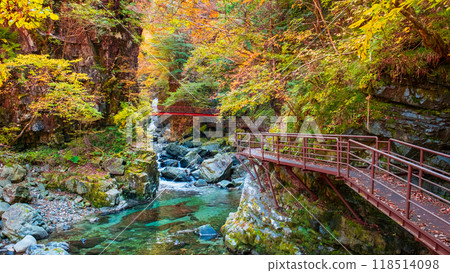 甘達峽(秋季) 甘達峽(秋季) 118514098