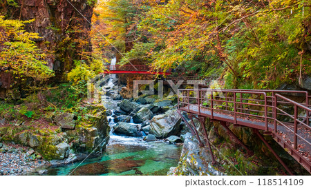 Ganryukyo Gorge (Autumn) Ganryukyo Gorge (Autumn) 118514109