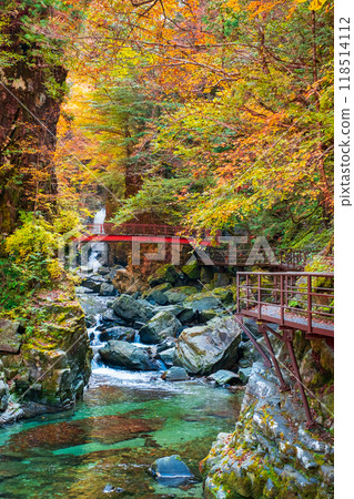 甘達峽(秋季) 甘達峽(秋季) 118514112