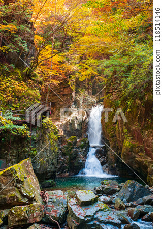 Ganryukyo Gorge (Autumn): Mitsutaki Falls 118514146