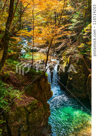 Ganryukyo Gorge (Autumn) Ganryukyo Gorge (Autumn) 118514203